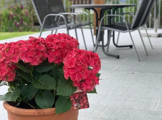 Oliver, Axams Apartmán *